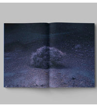 Drifting Stones