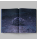 Drifting Stones