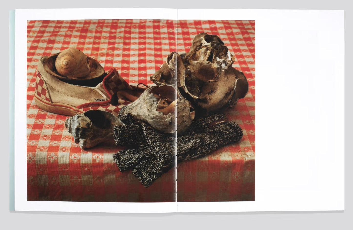 Shells [Signed]