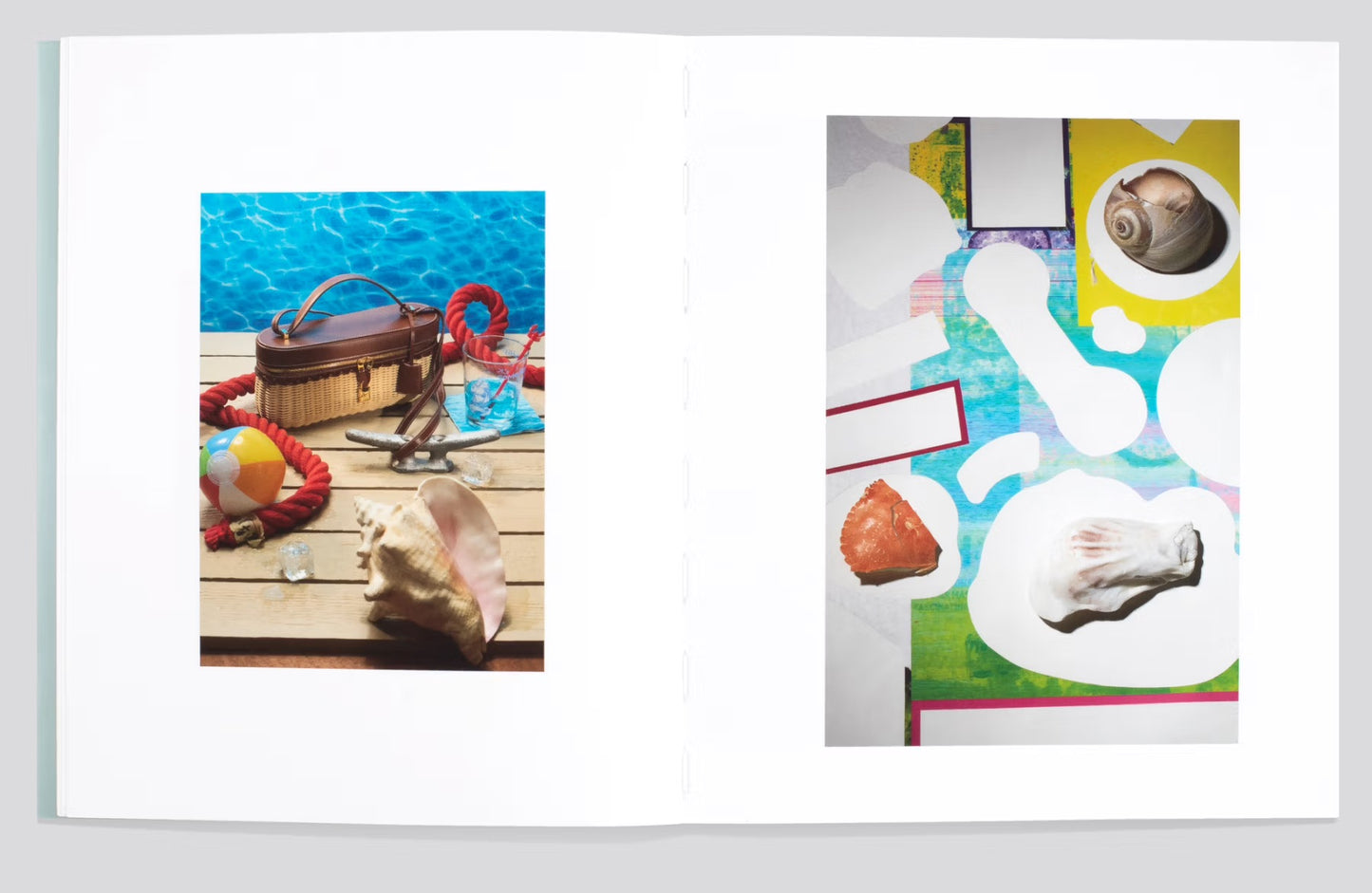 Shells [Signed]
