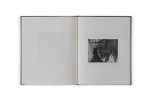 A Game of Photos