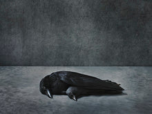 Atelier - signed