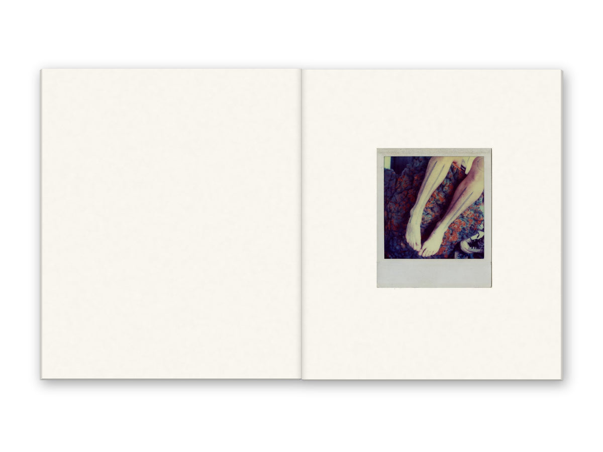 Polaroids [Signed]