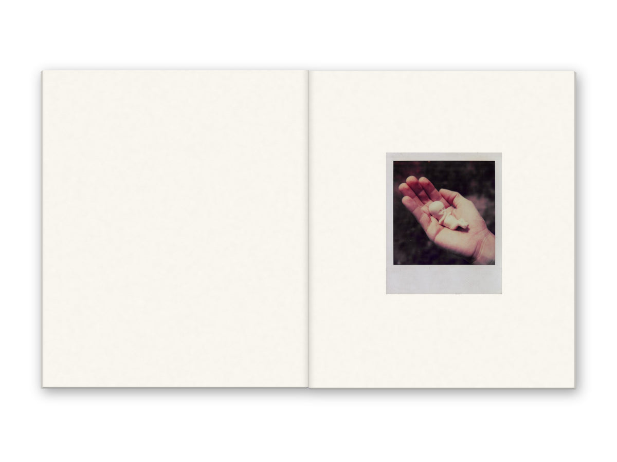 Polaroids [Signed]