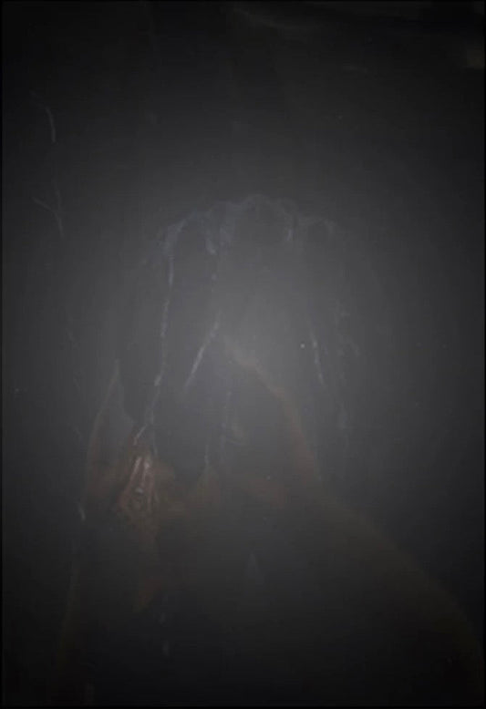 White Night, First edition [Signed]