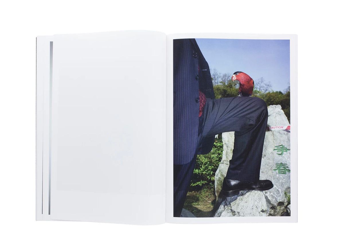 White Night, First edition [Signed]