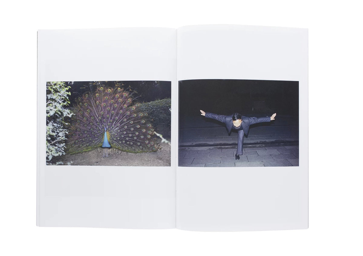 White Night, First edition [Signed]