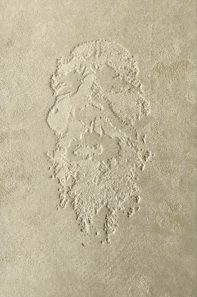 Moshé