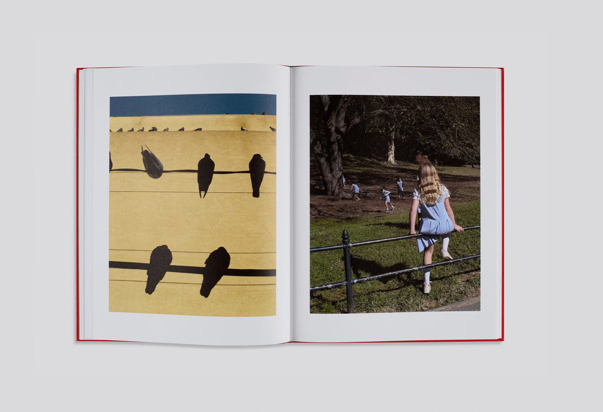 Atlas Of Echoes  (Imperfect copy)