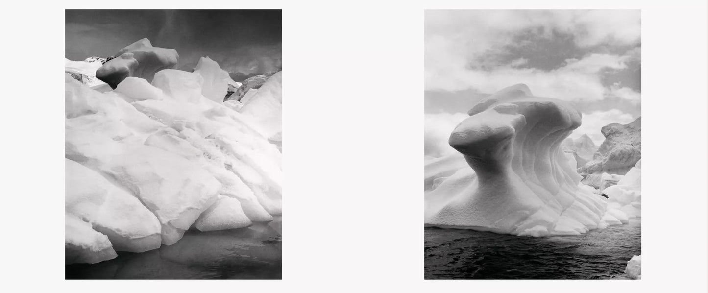 To The Antarctic [Signed]