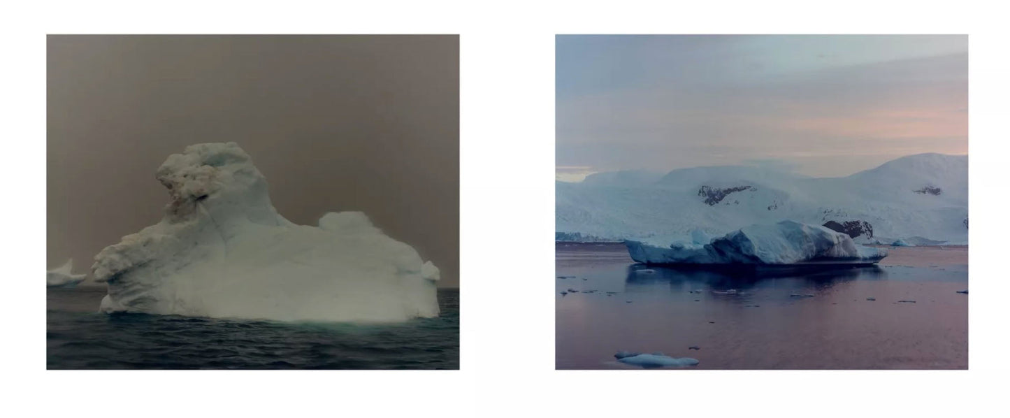 To The Antarctic [Signed]