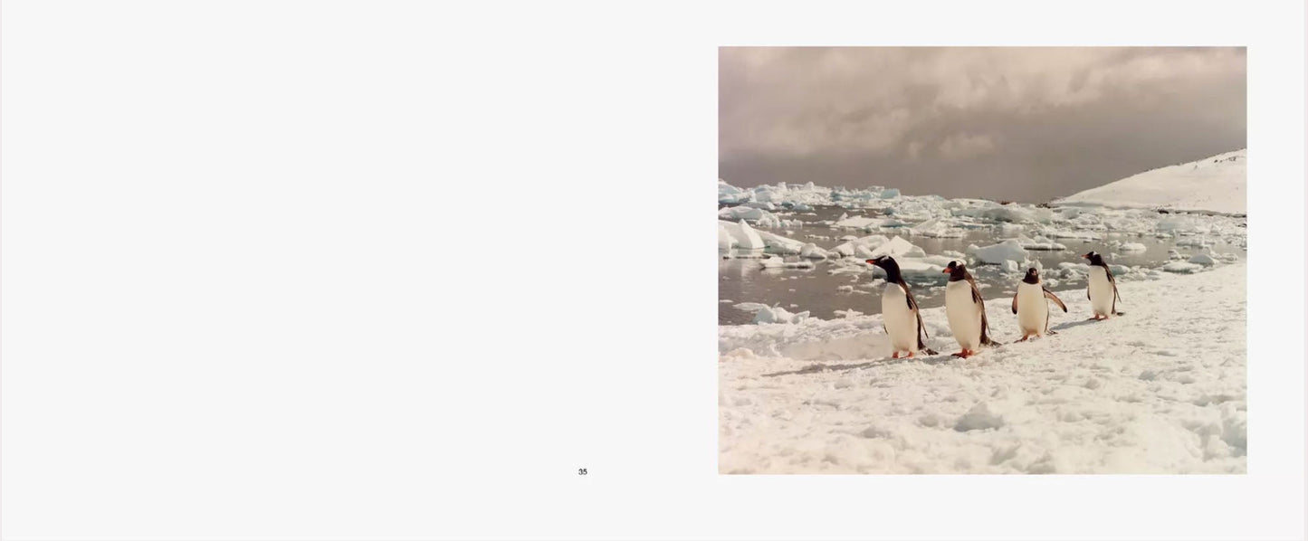 To The Antarctic [Signed]