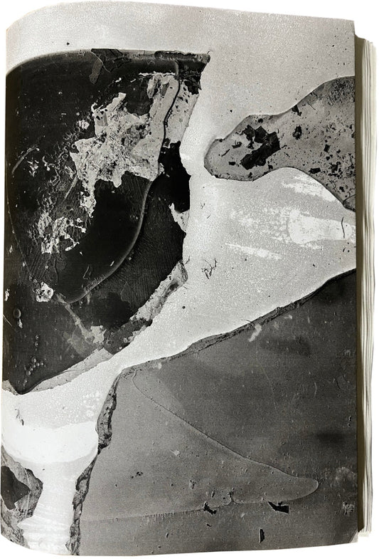 Matter Signed by Daisuke Yokota