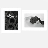 RADIUS - Special Edition