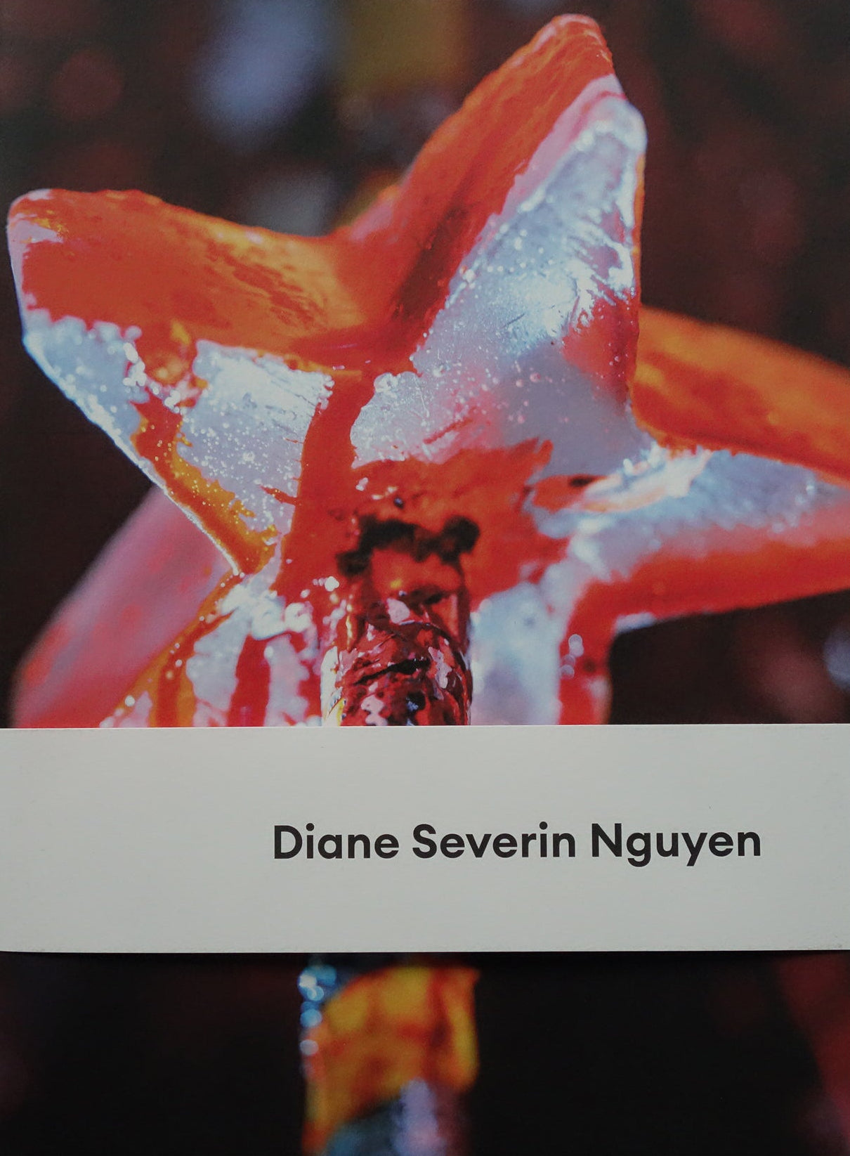 Diane Severin Nguyen