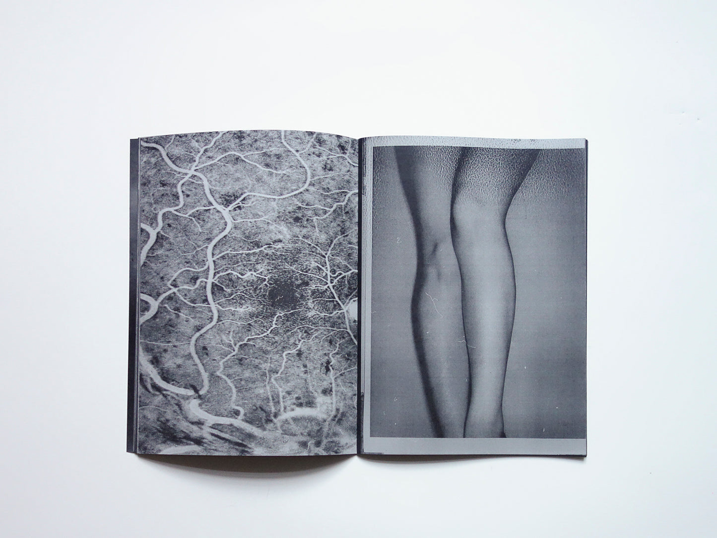 Untitled #1
