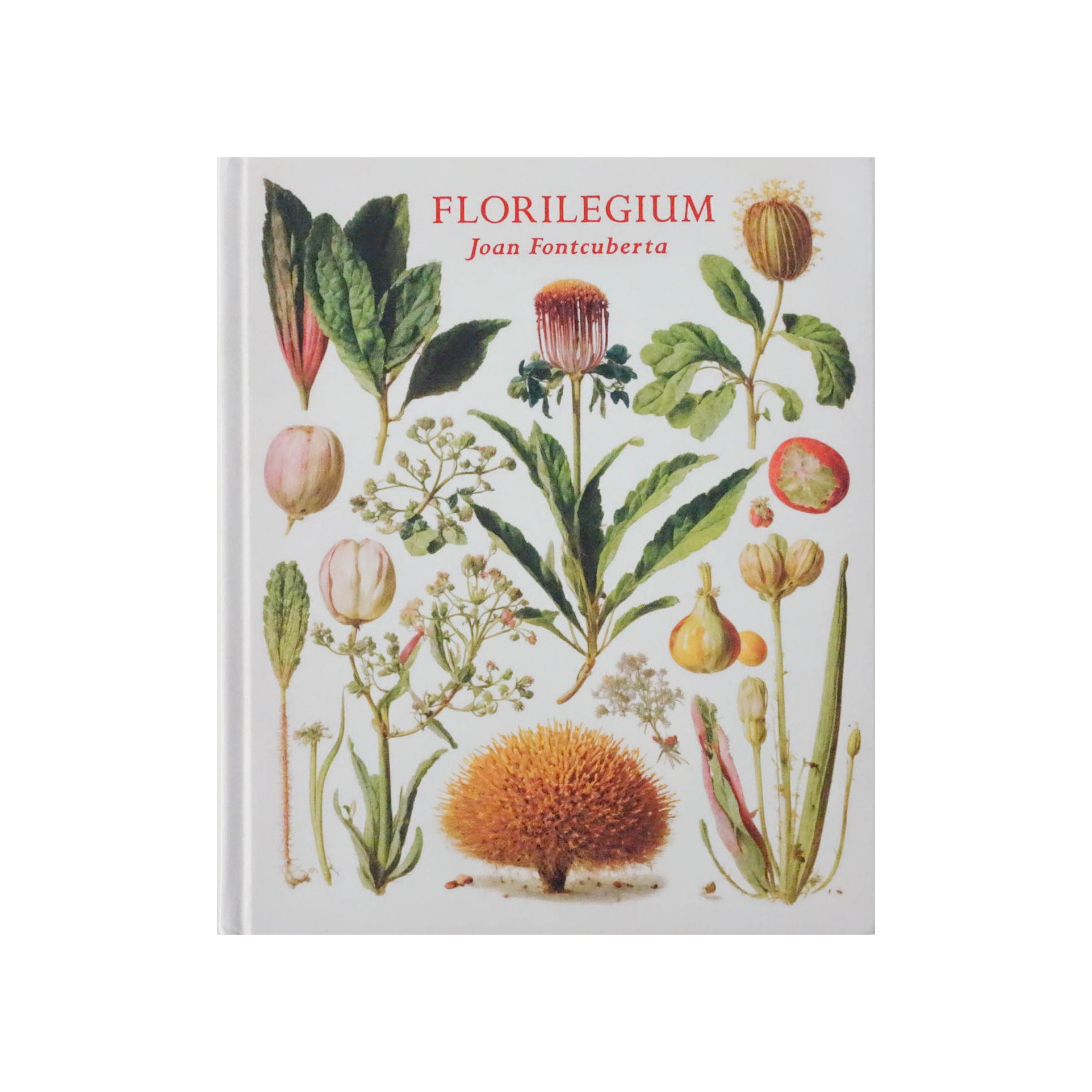 florilegium the book of plants Florilegium