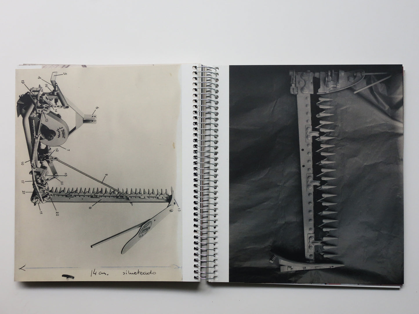 Trepat [Signed]