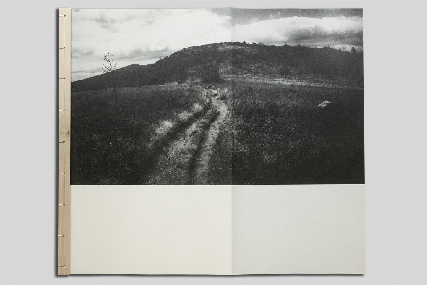Valleys [Signed]