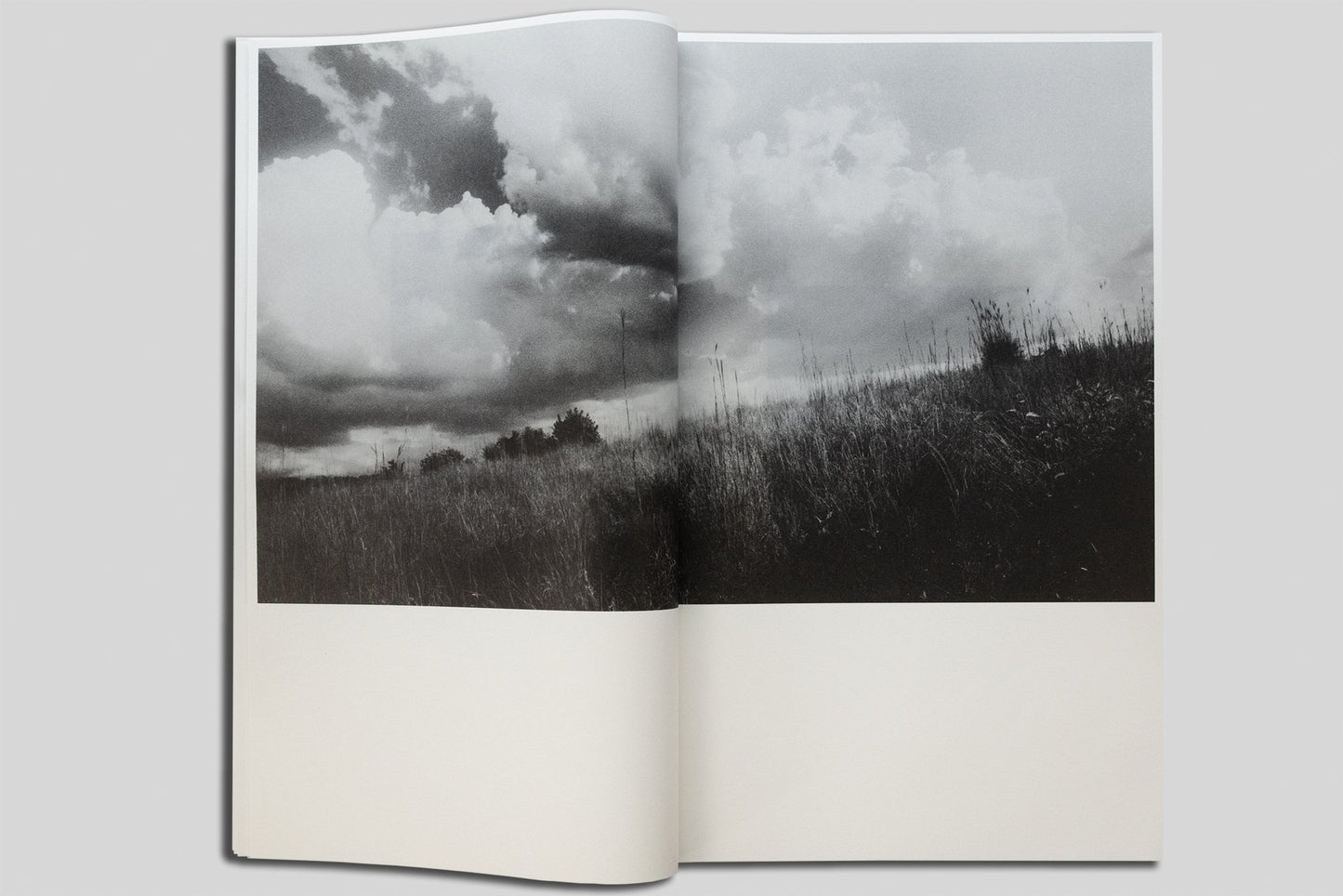 Valleys [Signed]