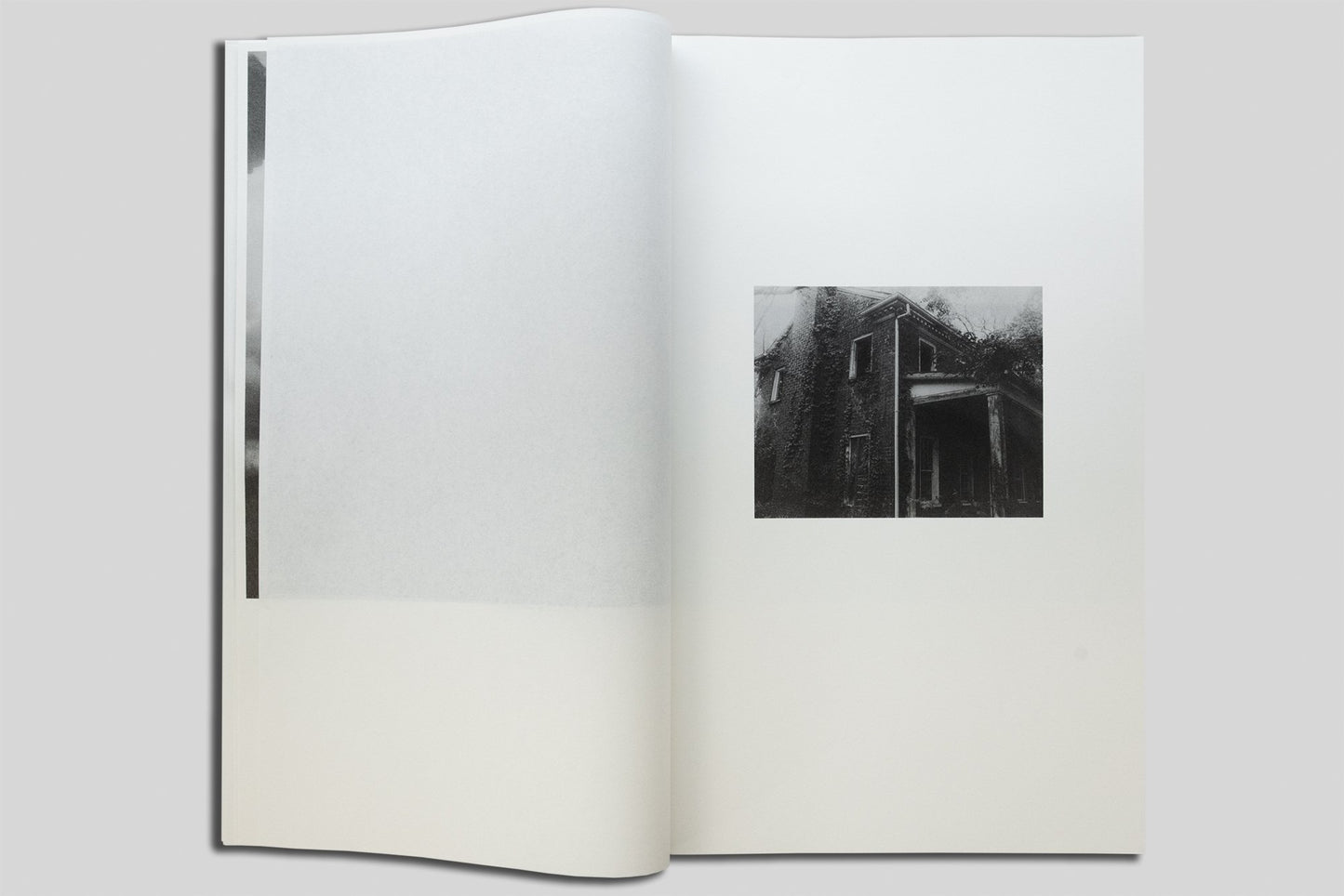Valleys [Signed]