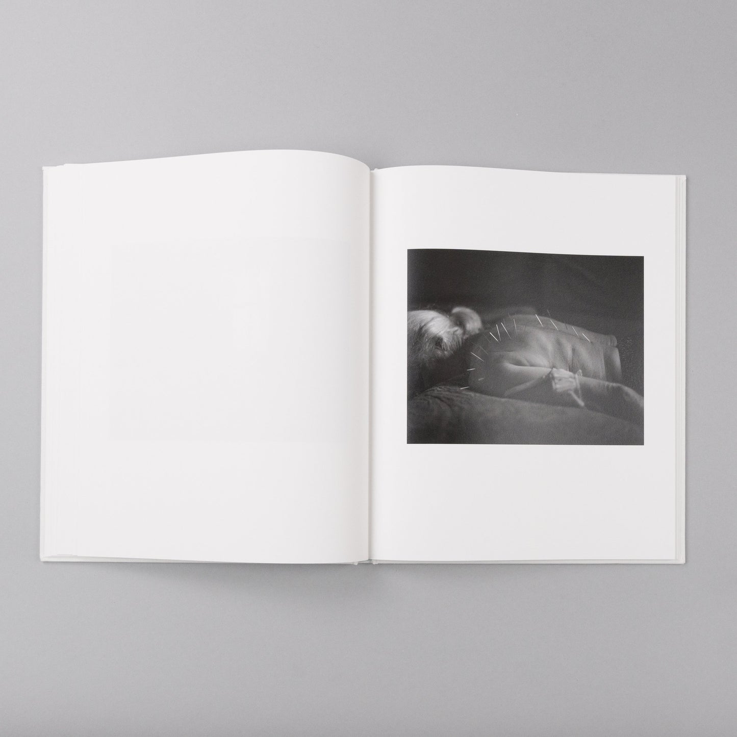 Dormant Season [Signed]