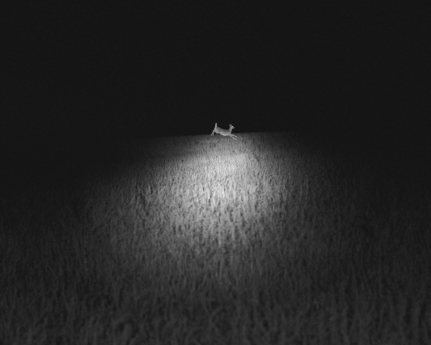 Dormant Season [Signed]
