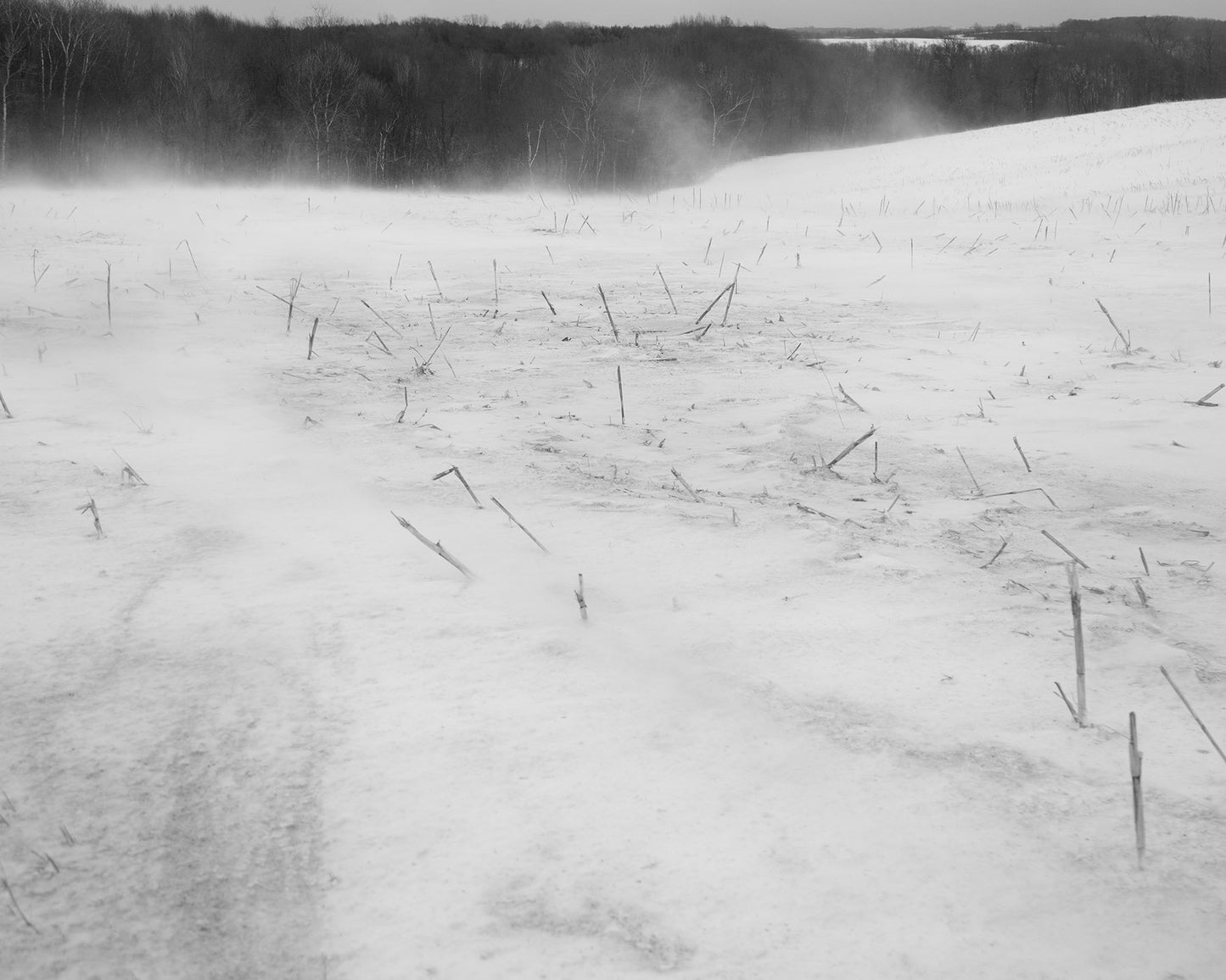 Dormant Season [Signed]