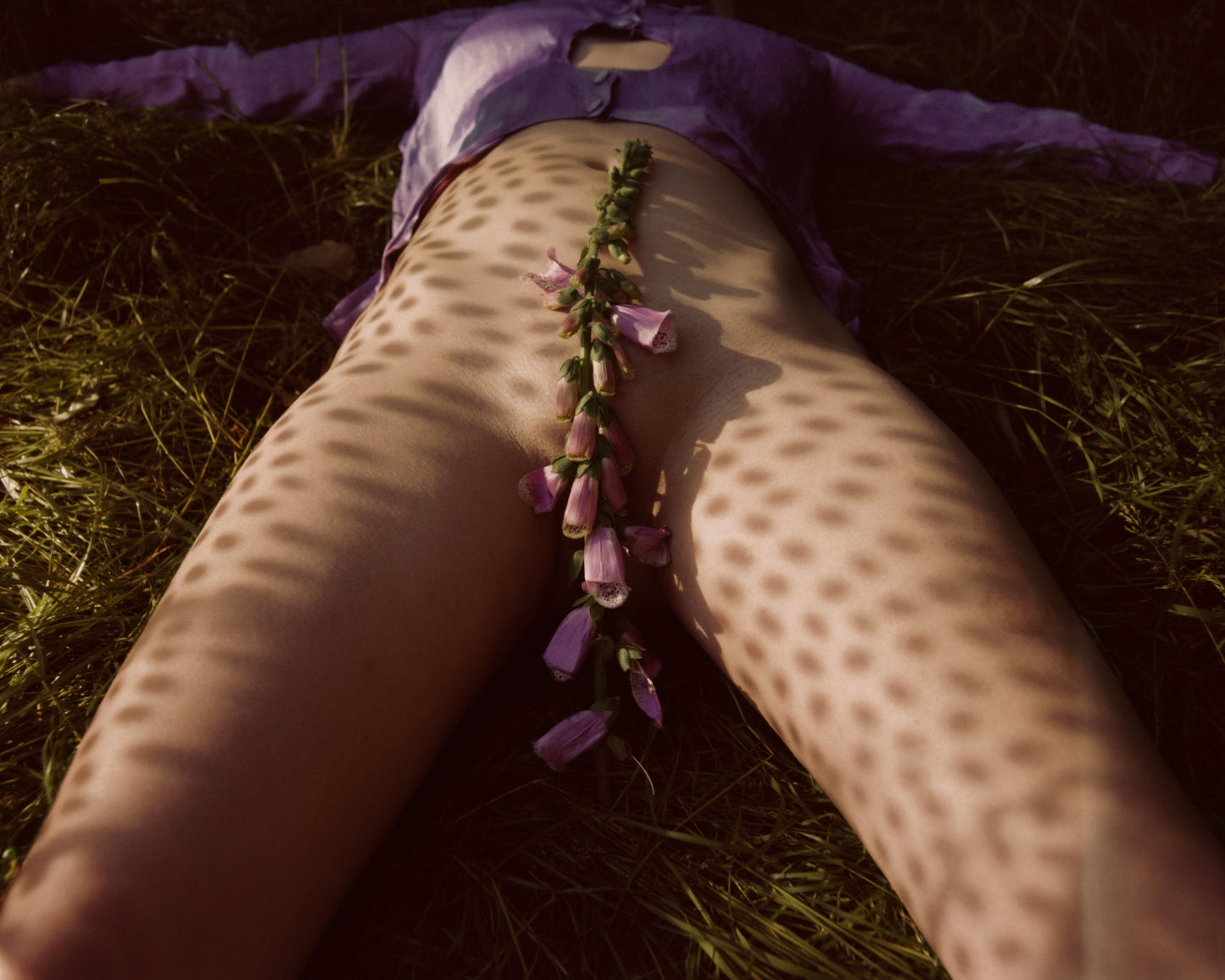 PETAL [Signed]