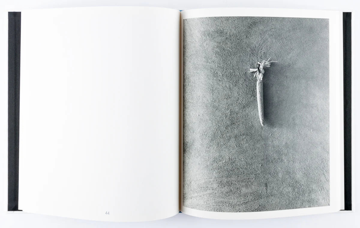 Georgia O'Keeffe - First edition