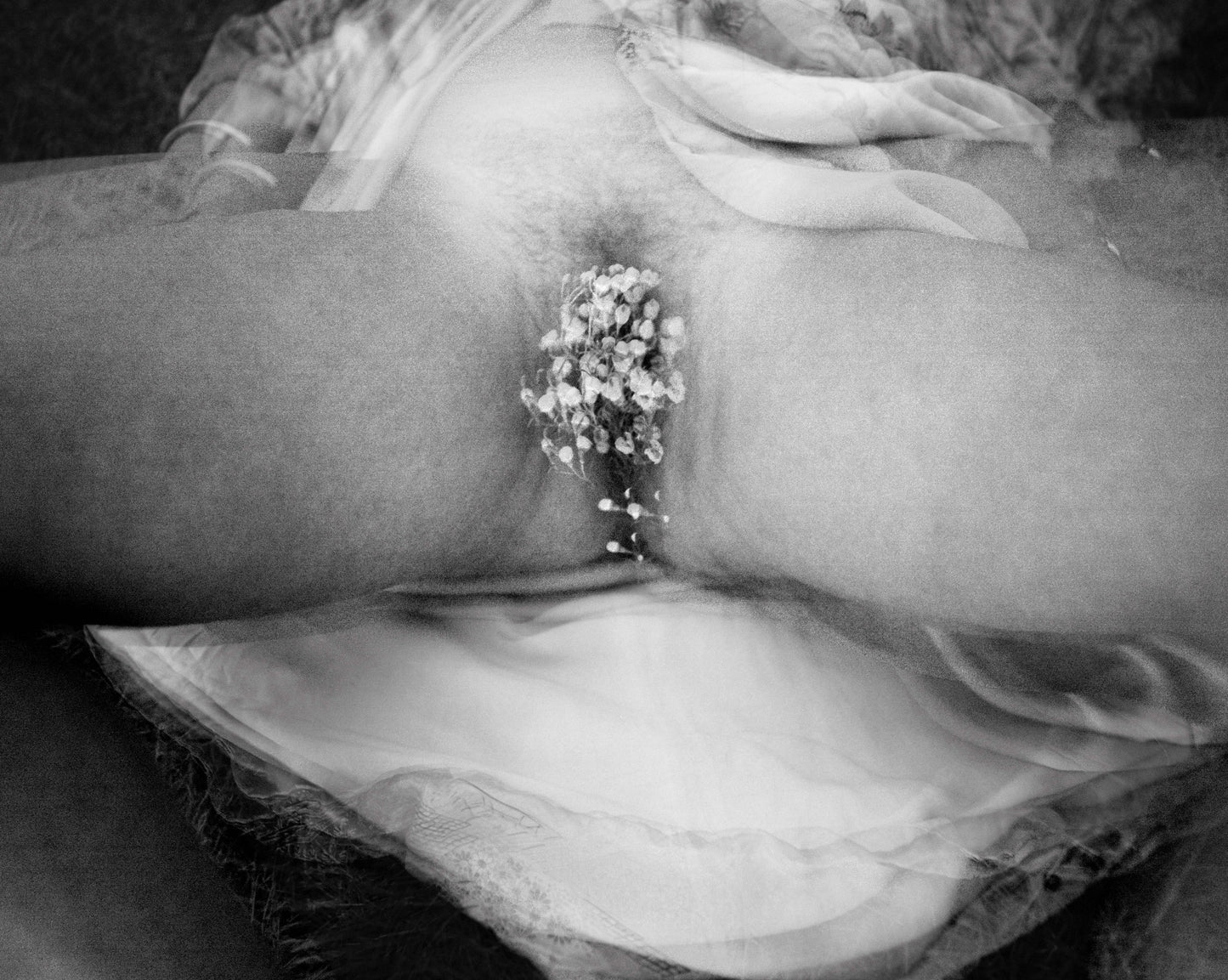 PETAL [Signed]