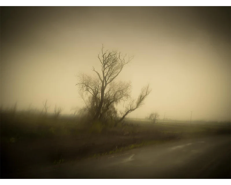 Homing In [Signed]
