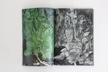 Plants, middle reaches of Tama River, winter - Special Edition