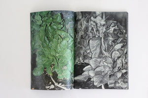 Plants, middle reaches of Tama River, winter - Special Edition