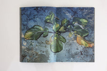 Plants, middle reaches of Tama River, winter - Special Edition