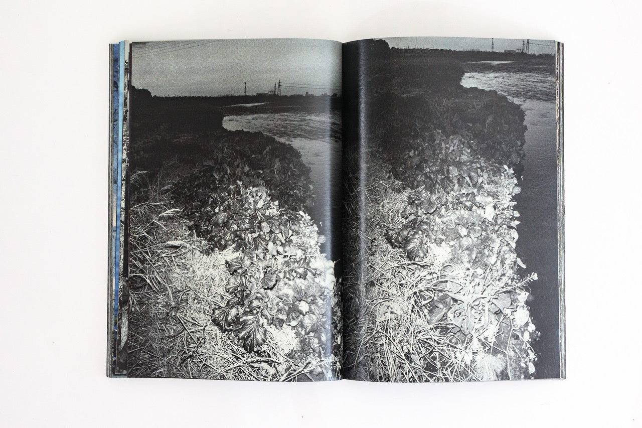 Plants, middle reaches of Tama River, winter - Special Edition