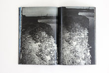 Plants, middle reaches of Tama River, winter - Special Edition
