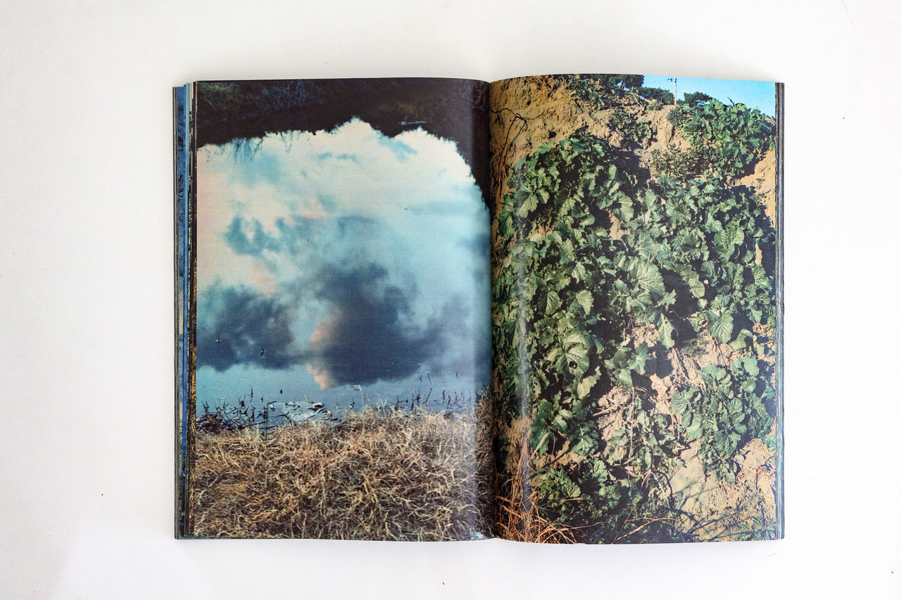 Plants, middle reaches of Tama River, winter - Special Edition