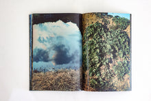 Plants, middle reaches of Tama River, winter - Special Edition