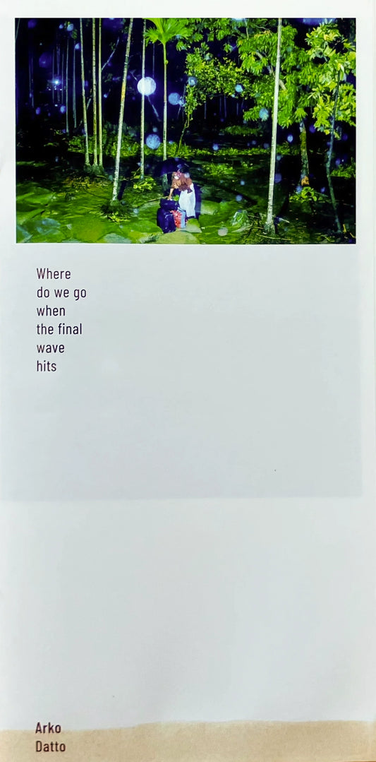 Where do we go when the final wave hits