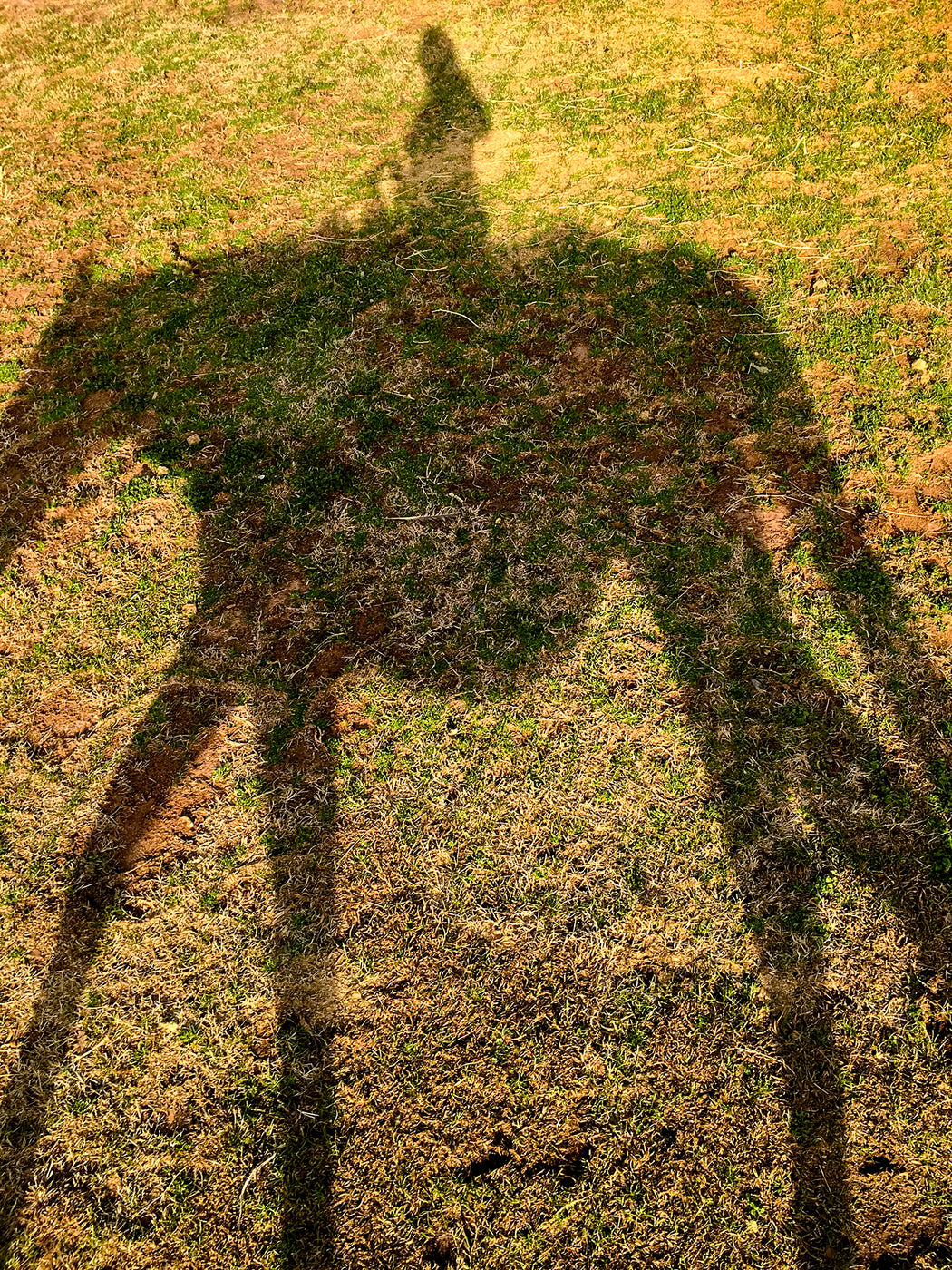 Stable, 2018