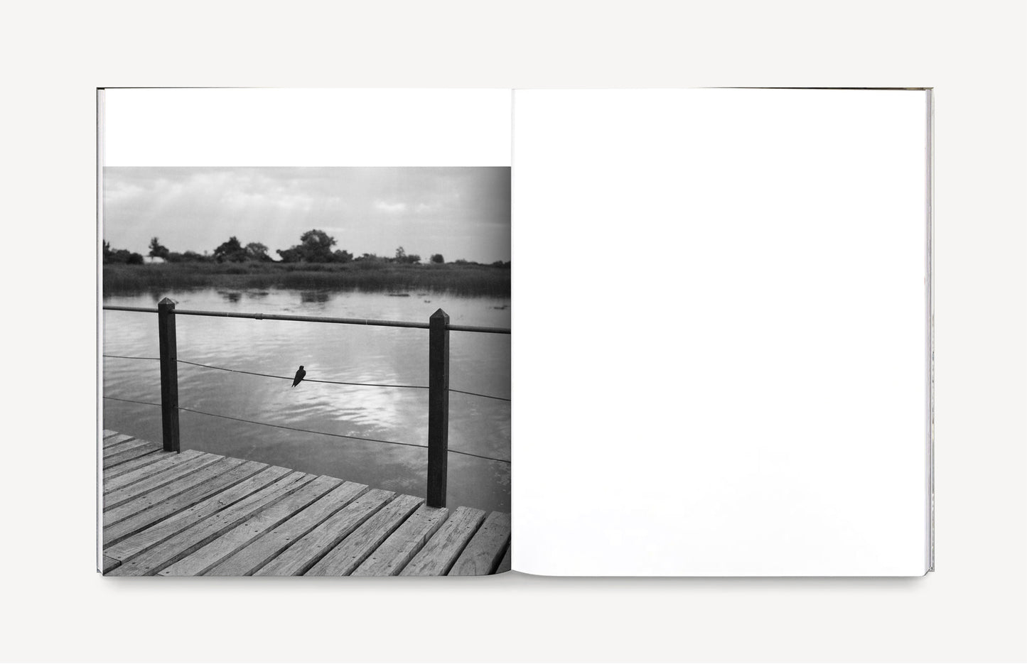 La sombra de un río [Signed]
