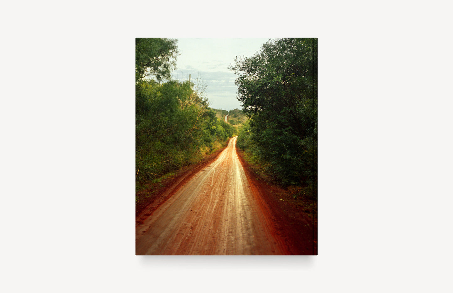 La sombra de un río [Signed]