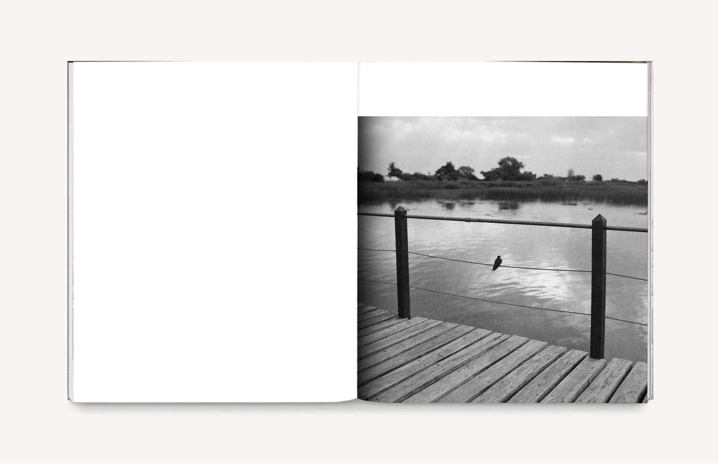 La sombra de un río [Signed]