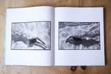 The Swimming Pool - signed copy