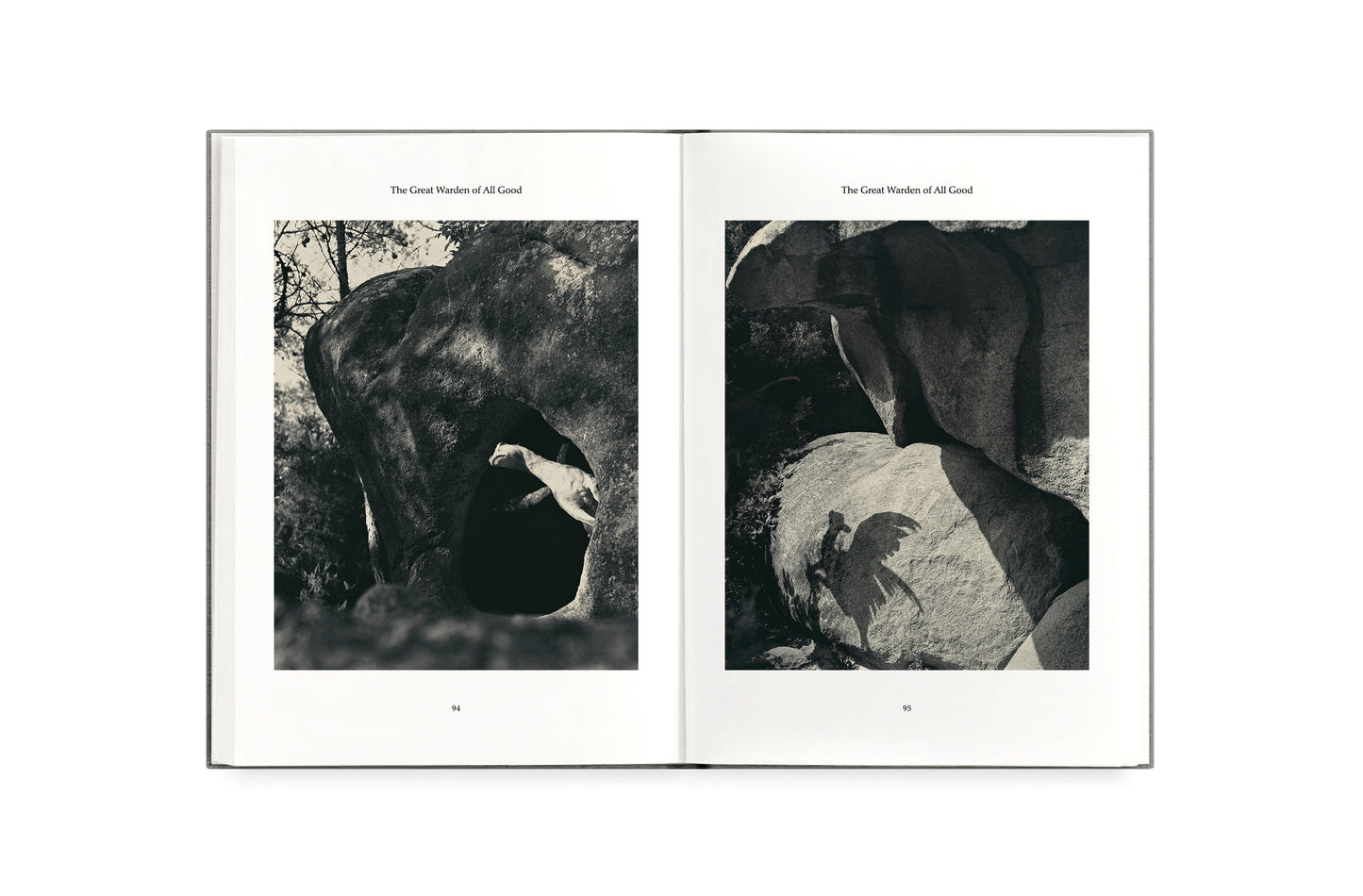 FAUNA - wholesale