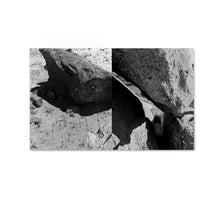 RADIUS - signed copy