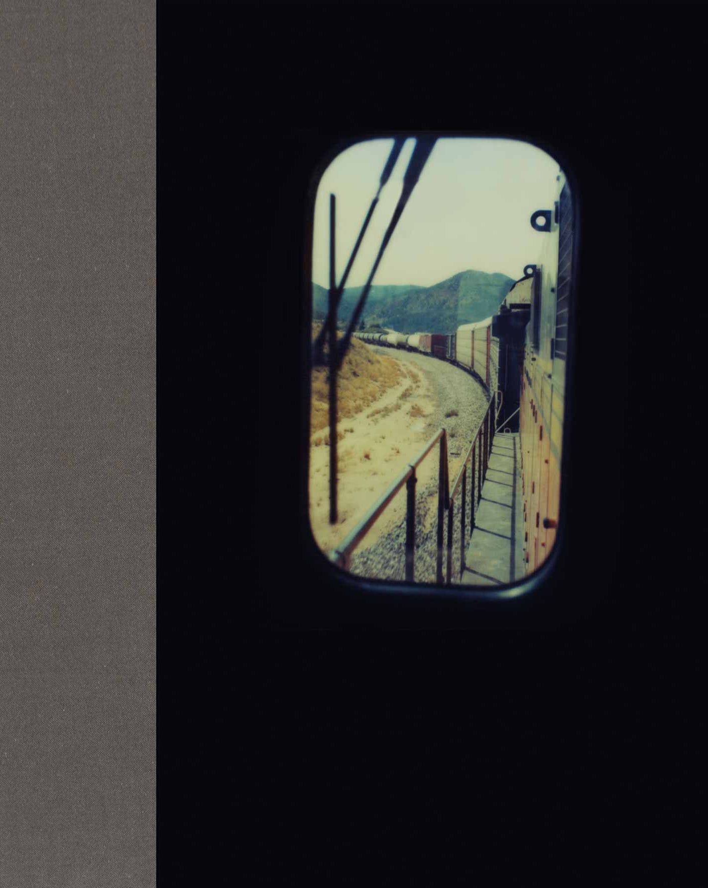 Tones of Dirt and Bone - First edition