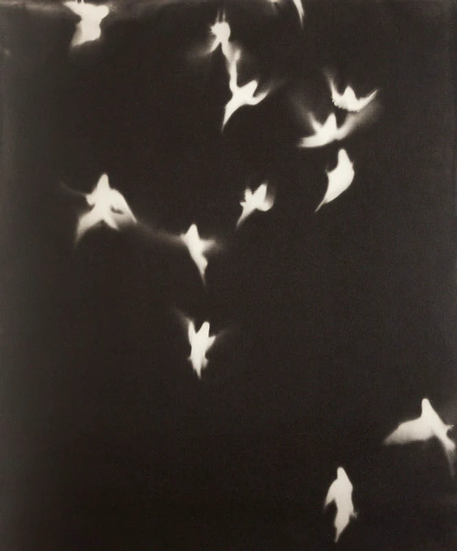 My Ghost - Slipcase Edition [Signed]