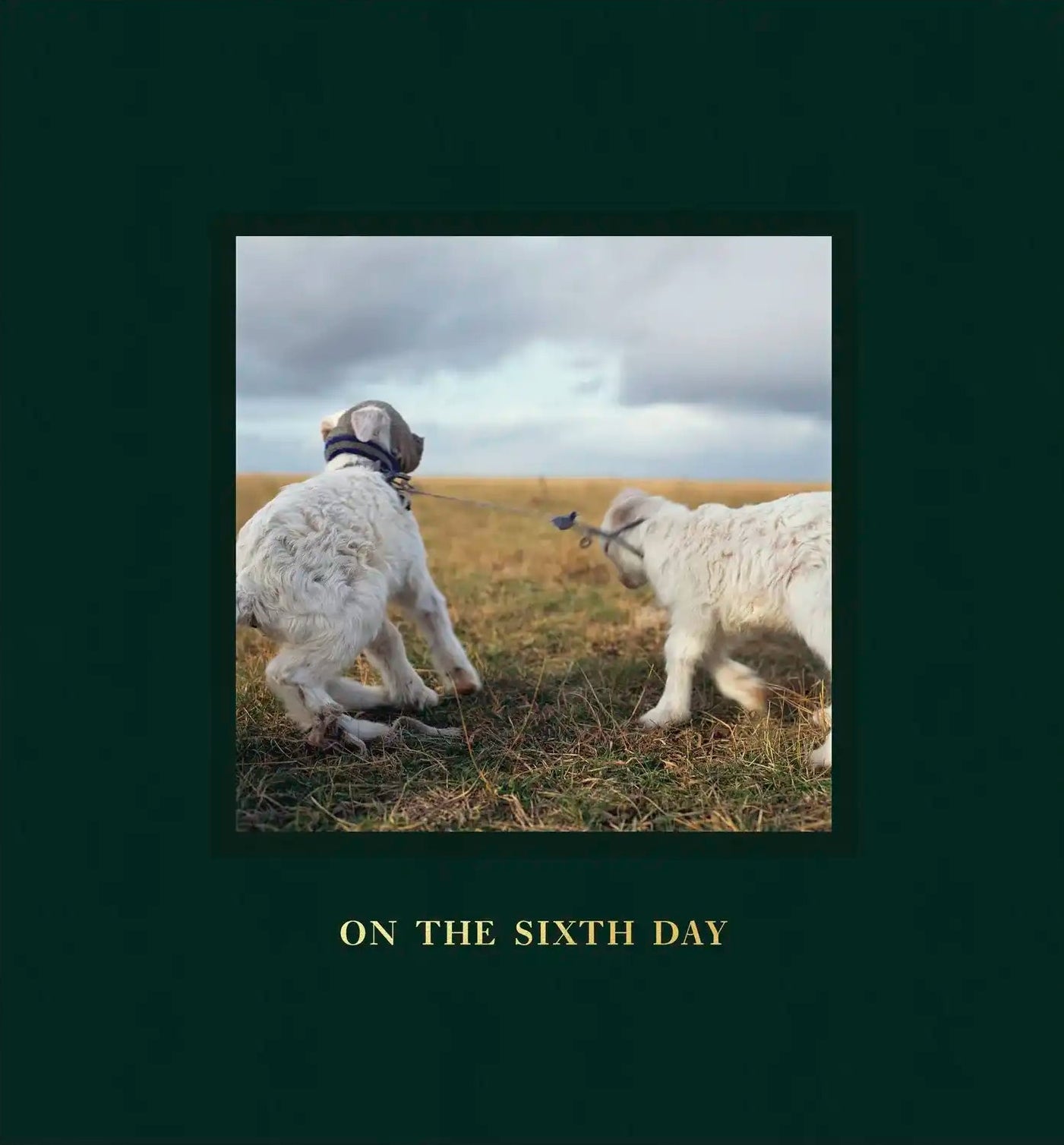 On the Sixth Day [Signed]
